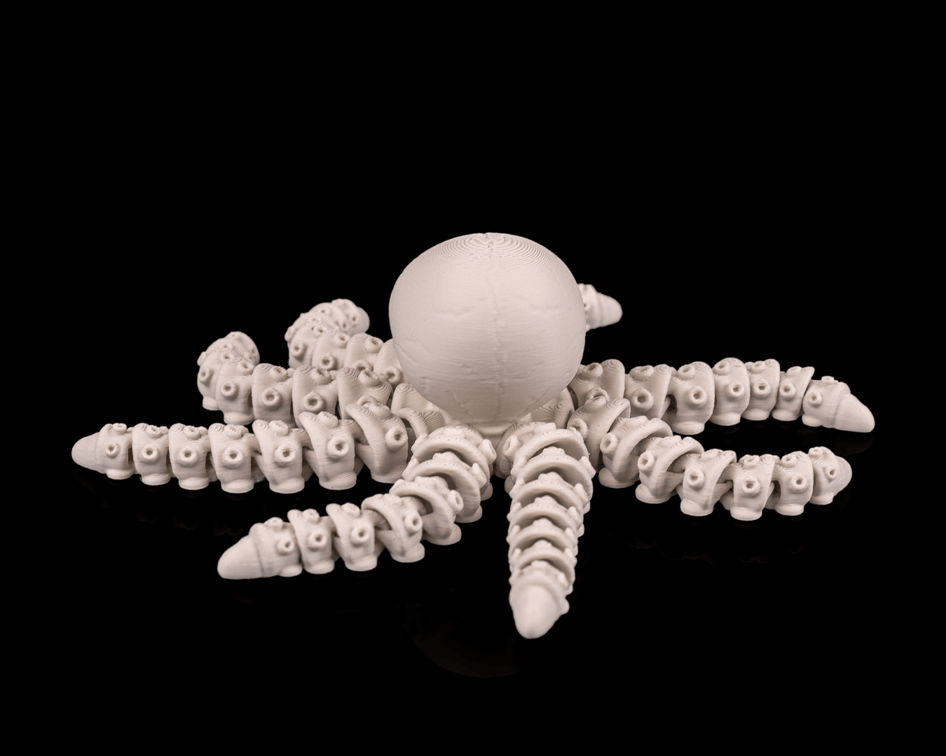 Skeleton octopus