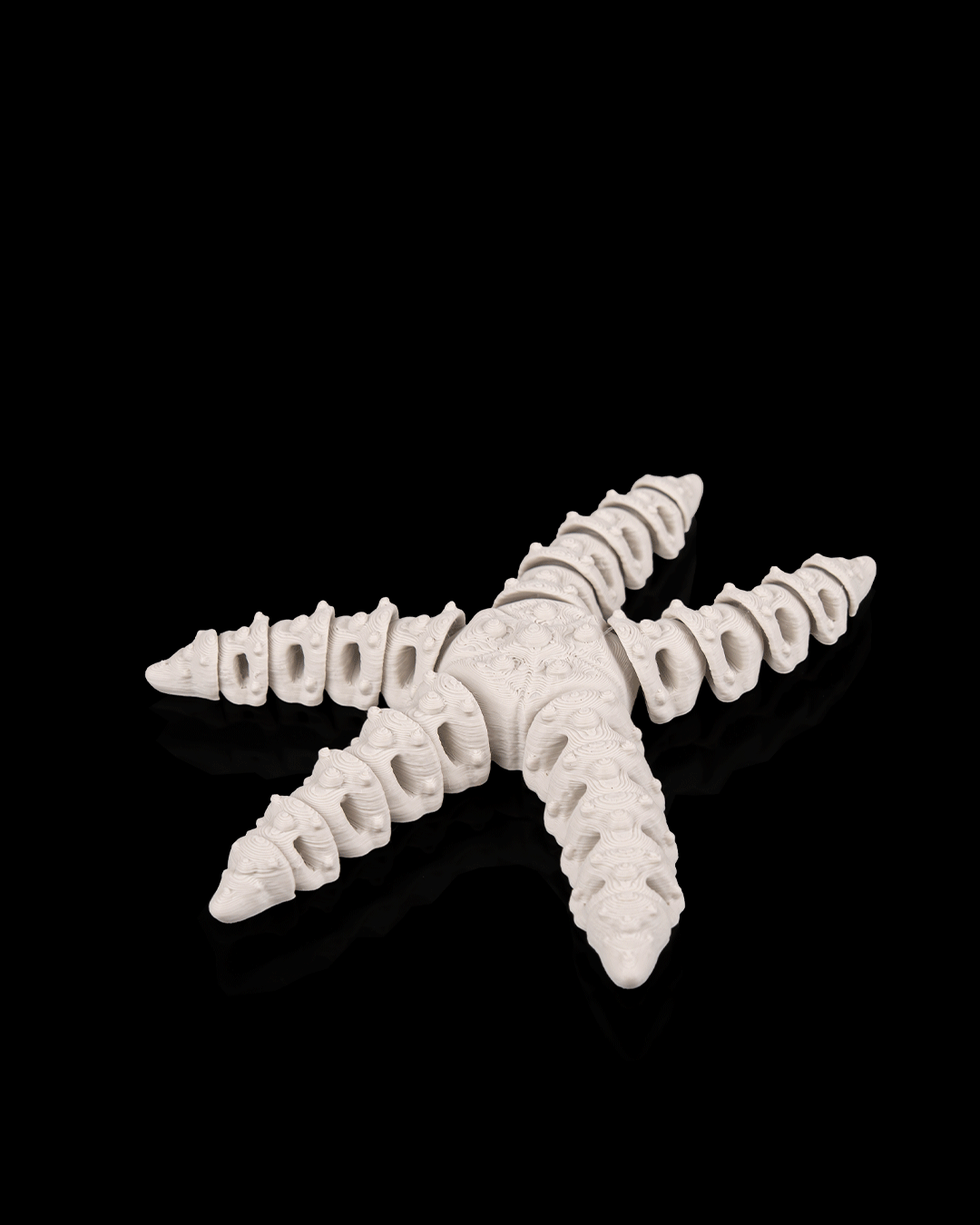 Skeleton starfish