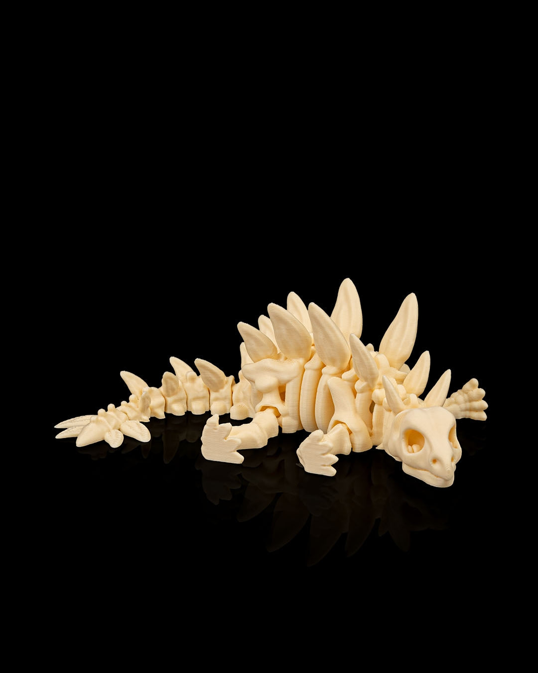Stegosaurus skeleton