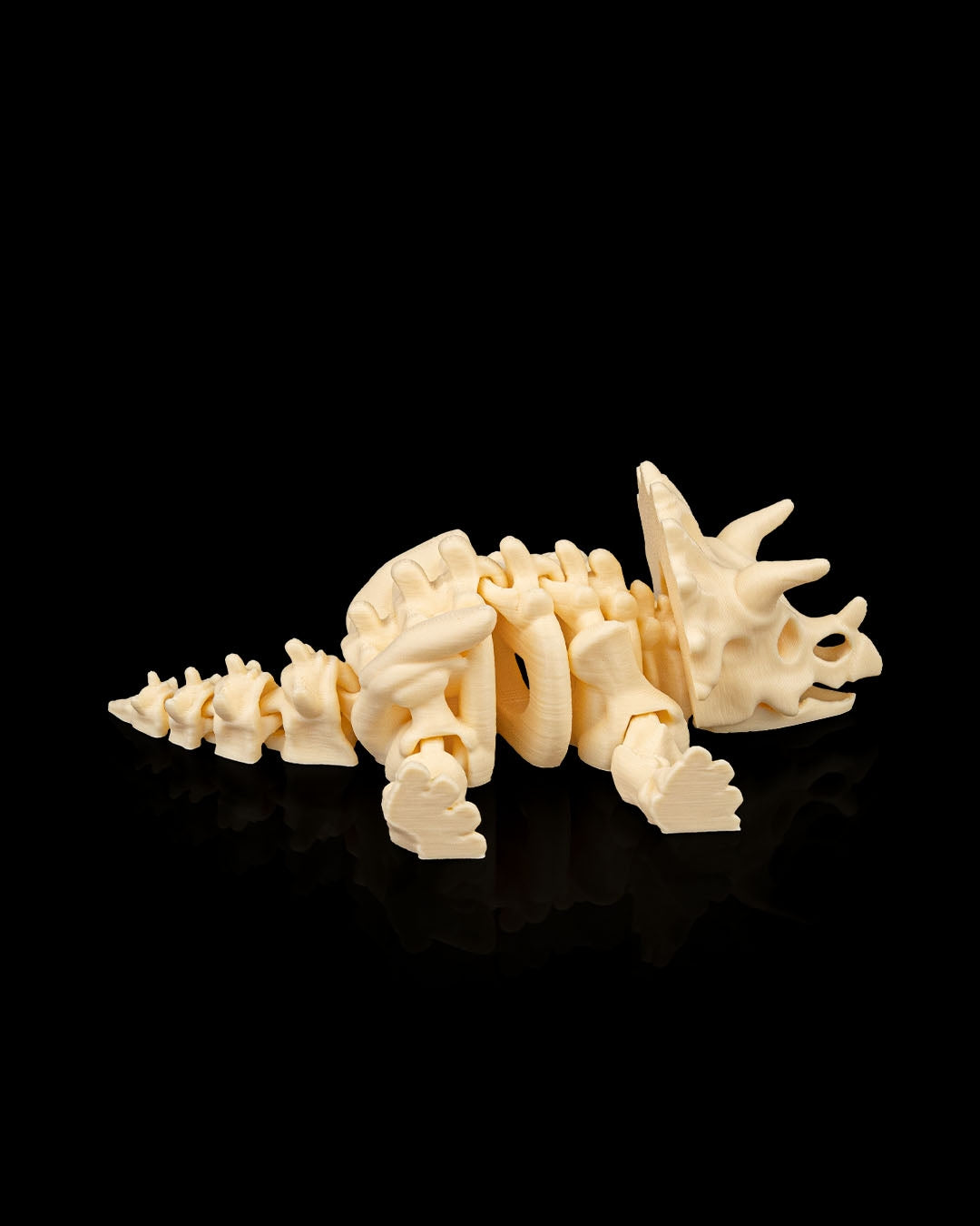 Triceratops skeleton