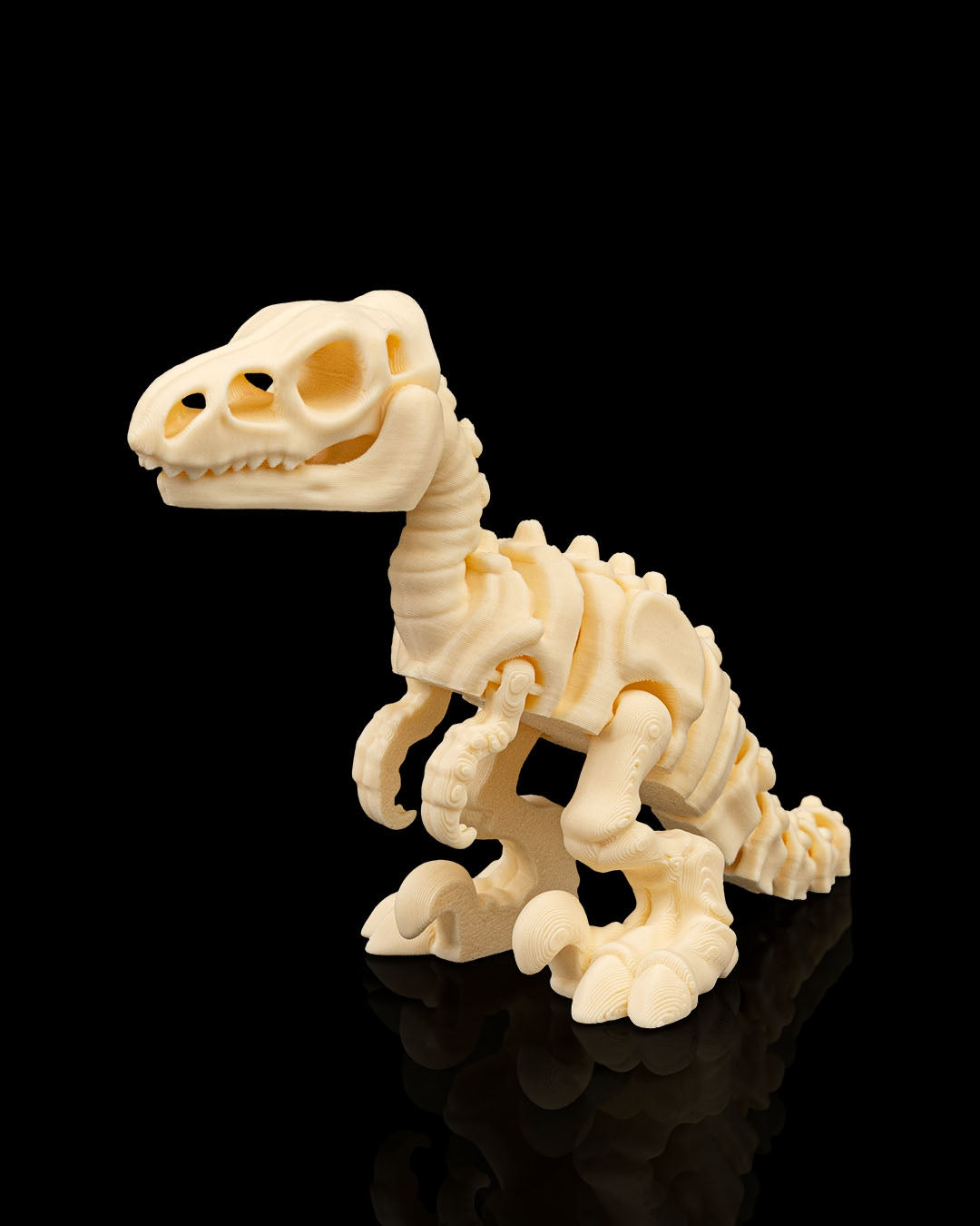 Dino skeleton bundle