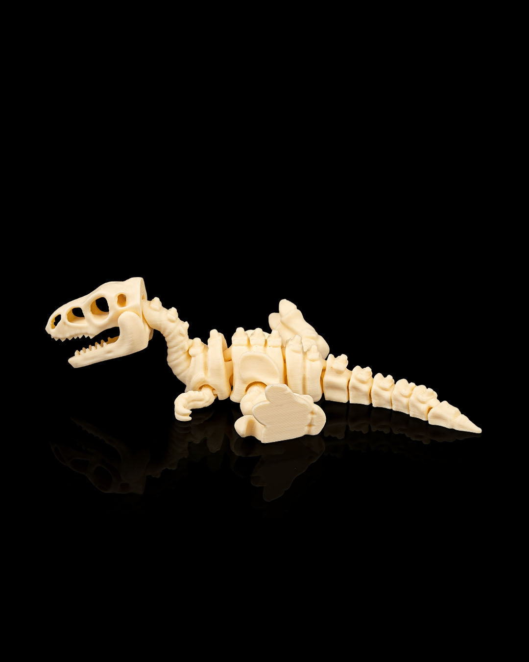 Velociraptor skeleton