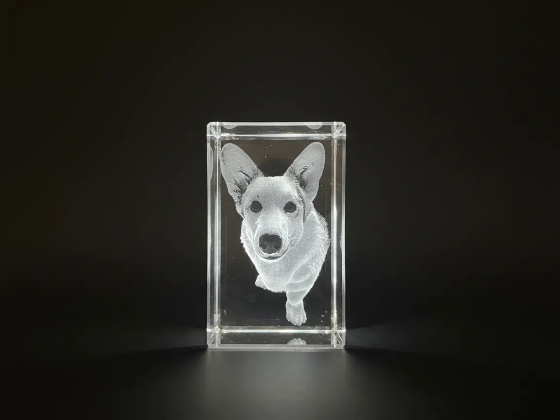 K9 crystal with engraving (5x5x8 cm)