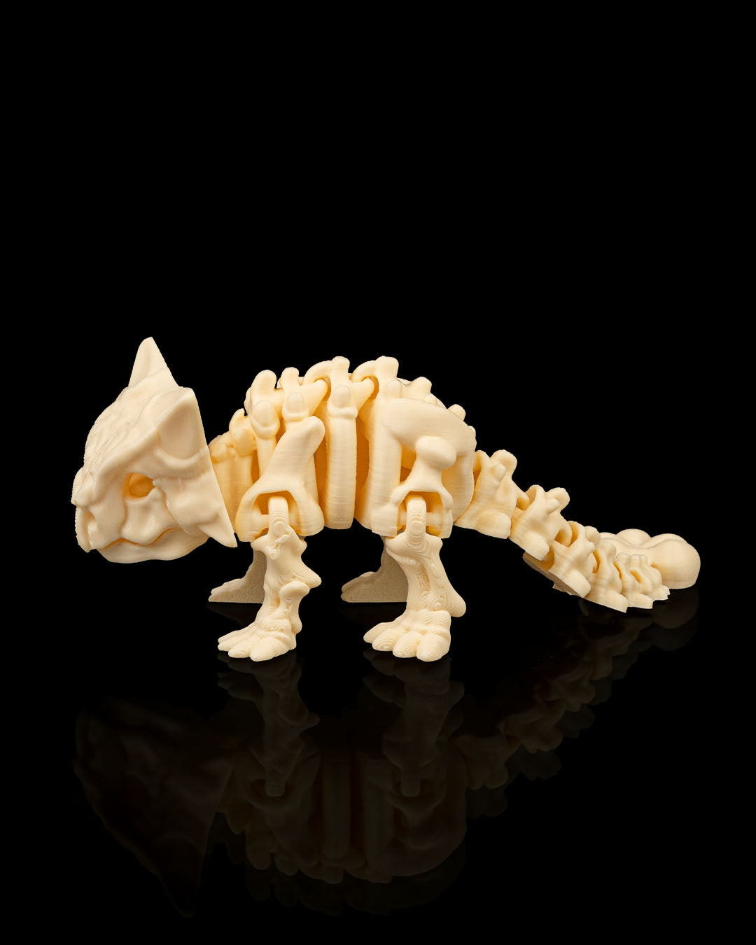 Ankylosaurus skeletje
