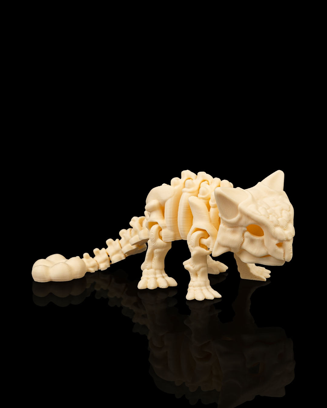 Ankylosaurus skeletje