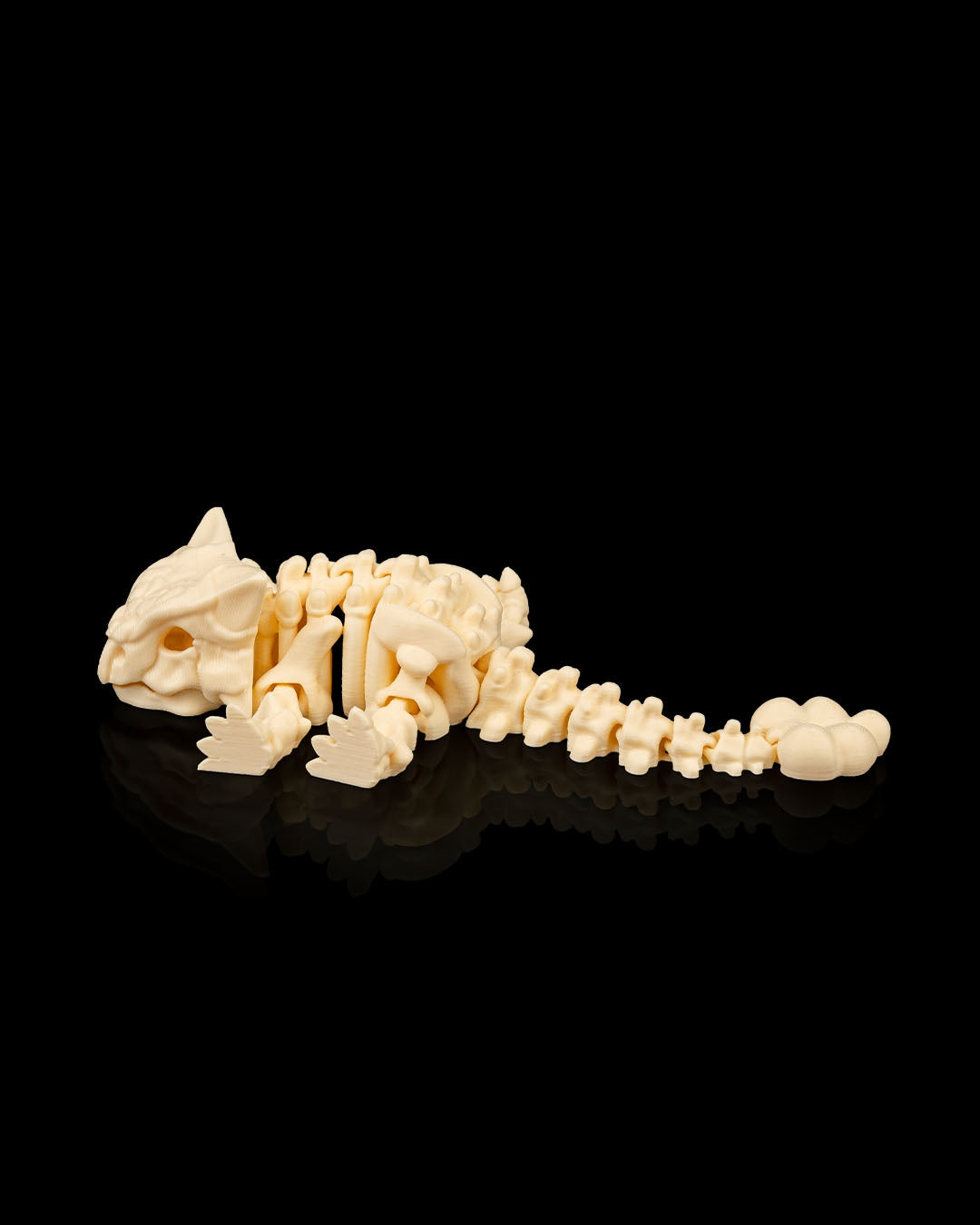 Ankylosaurus skeleton