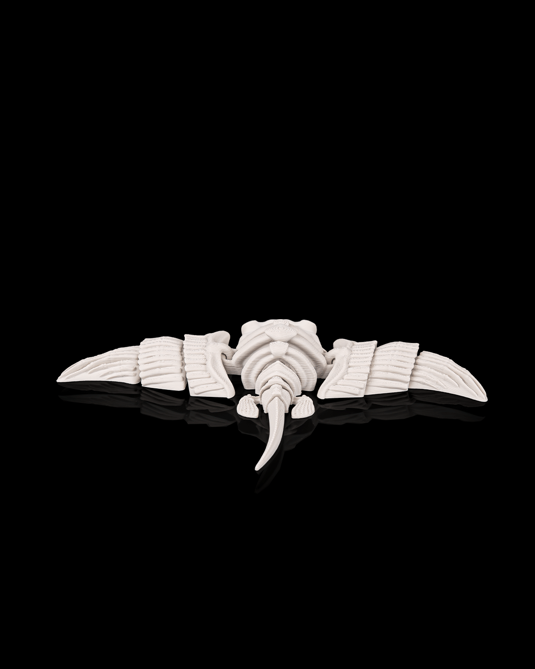 Skeleton giant manta ray