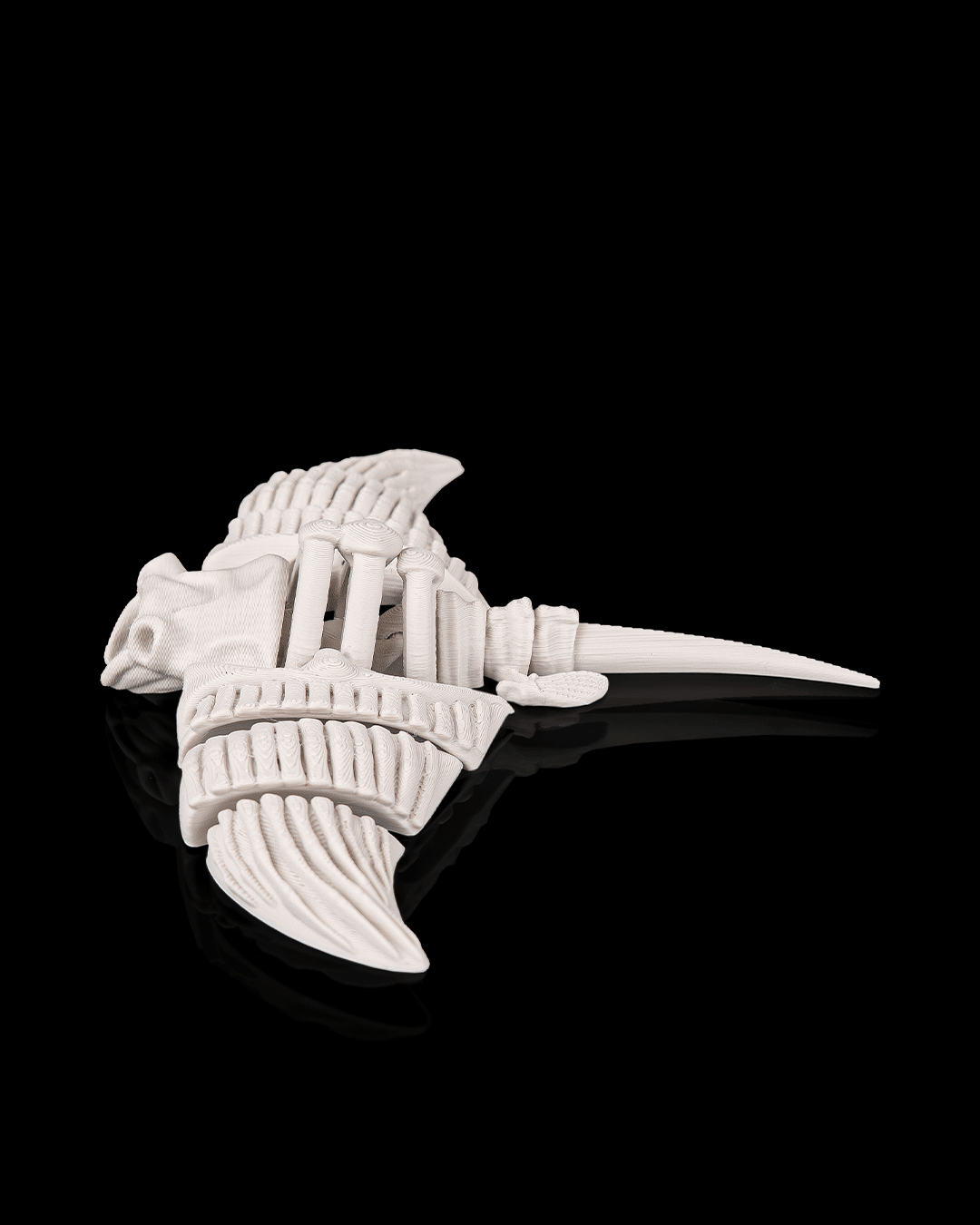 Skeleton giant manta ray