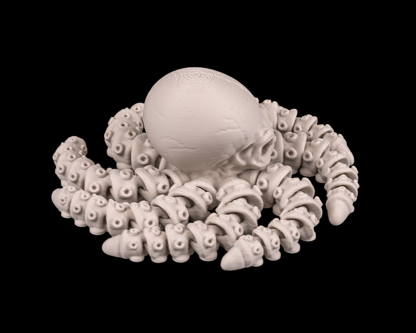 Skeleton octopus