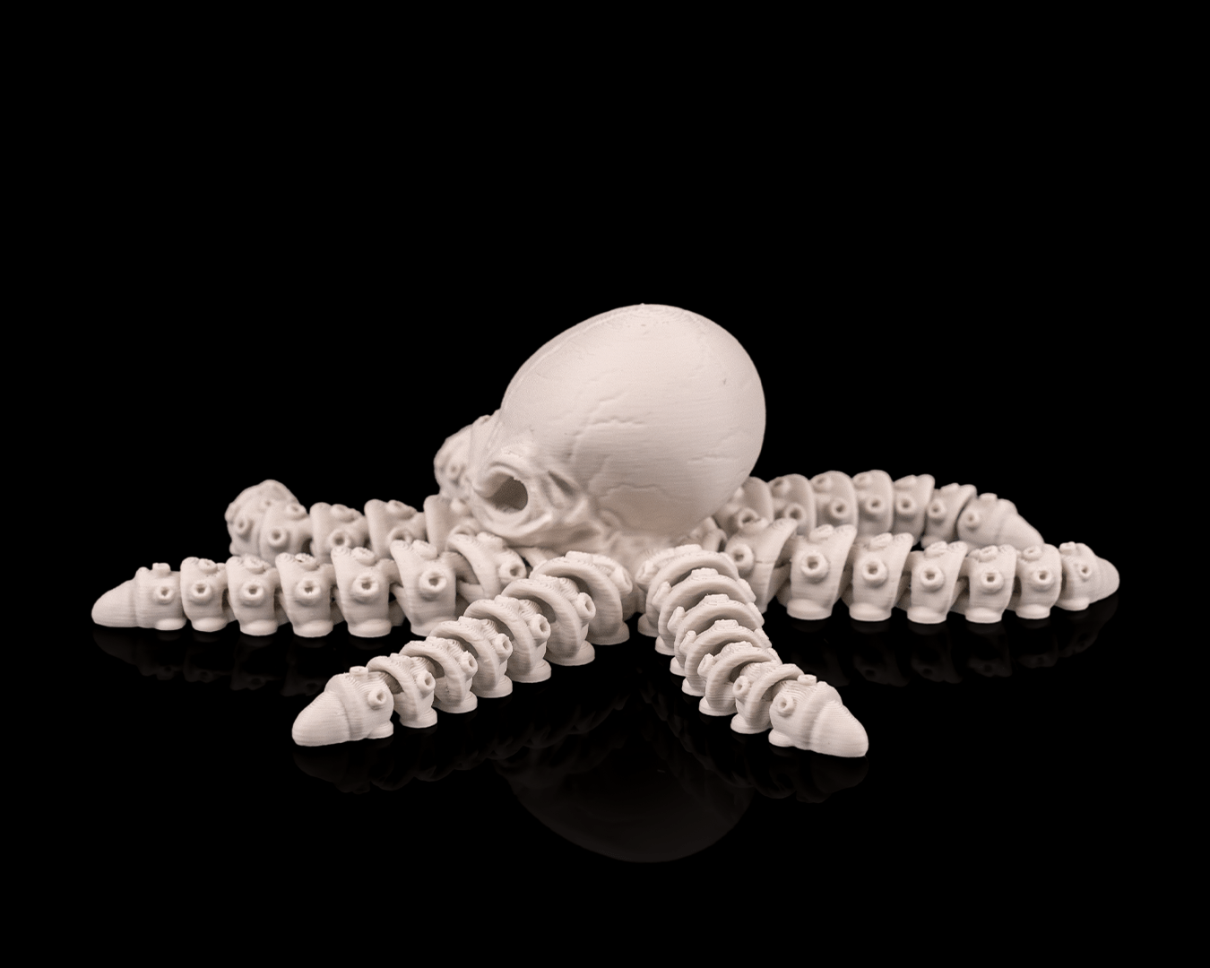 Skeleton octopus