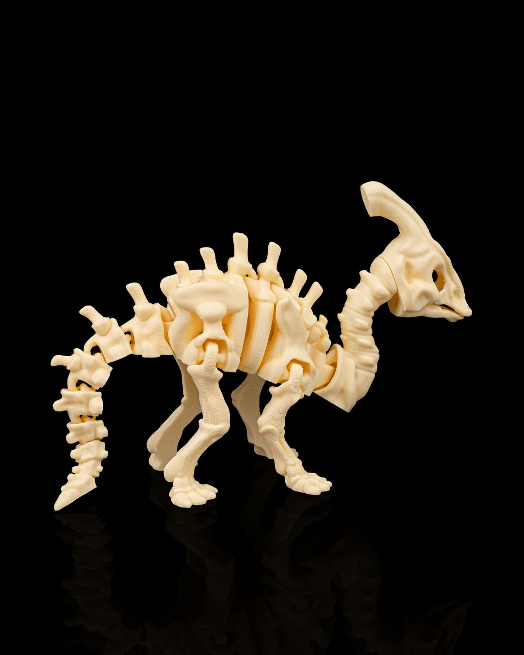 Parasaurolophus skeletje