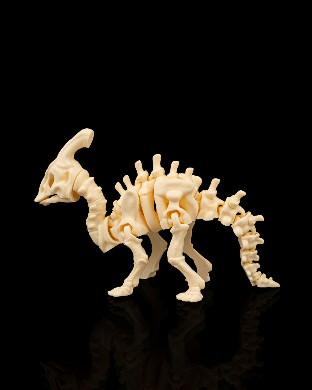 Parasaurolophus skeleton