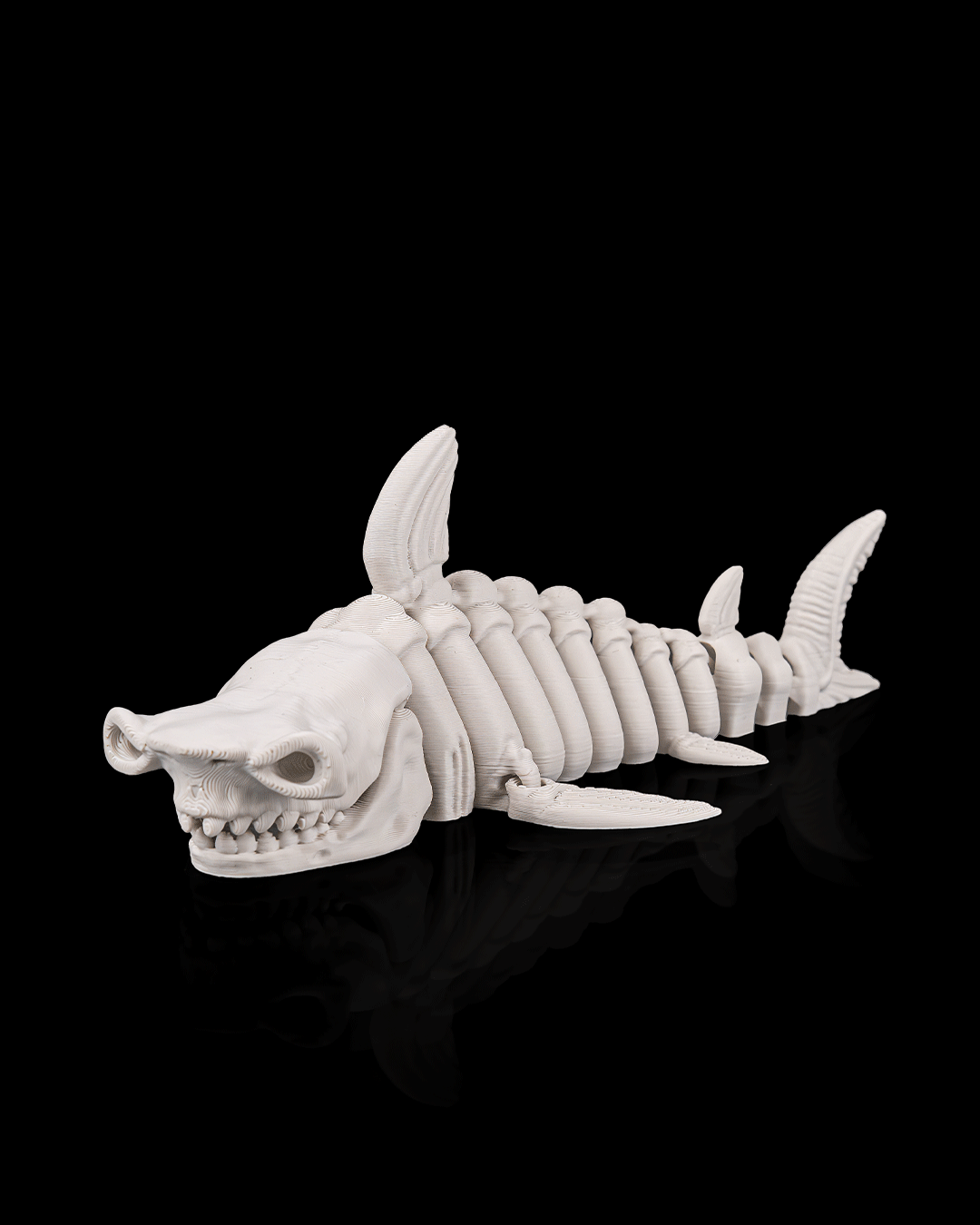 Skeletal shark