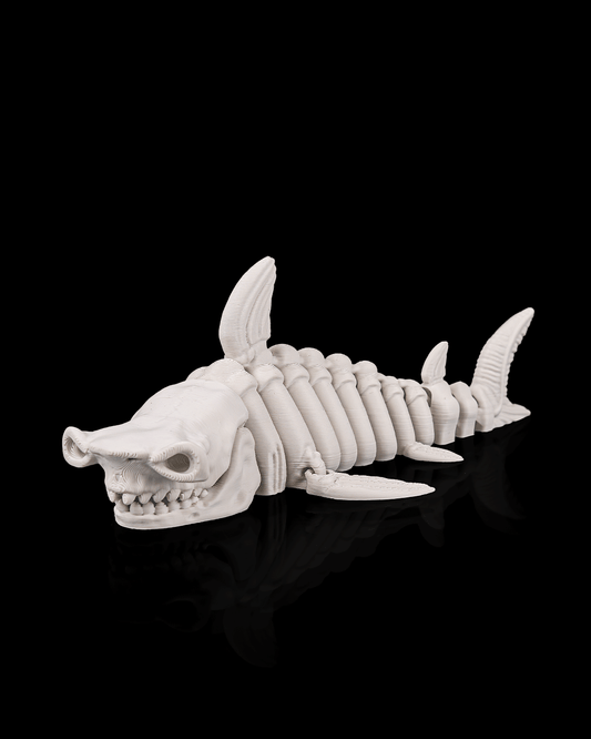 Skeletal shark