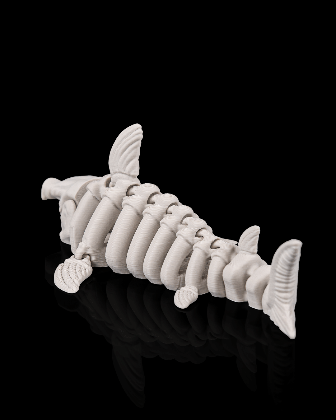 Skeletal shark