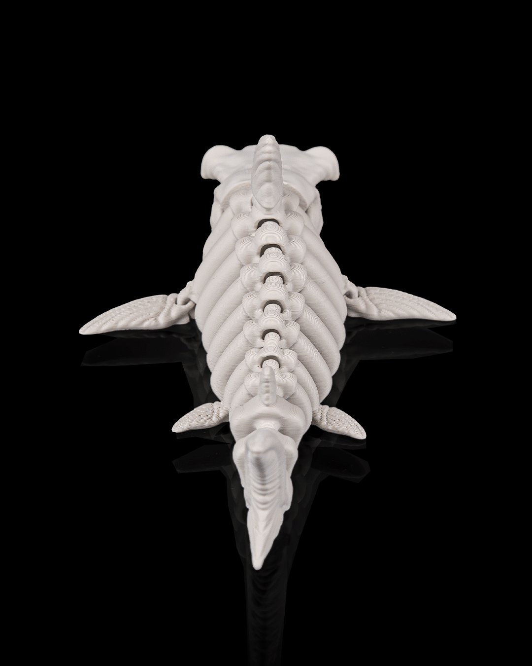 Skeletal shark