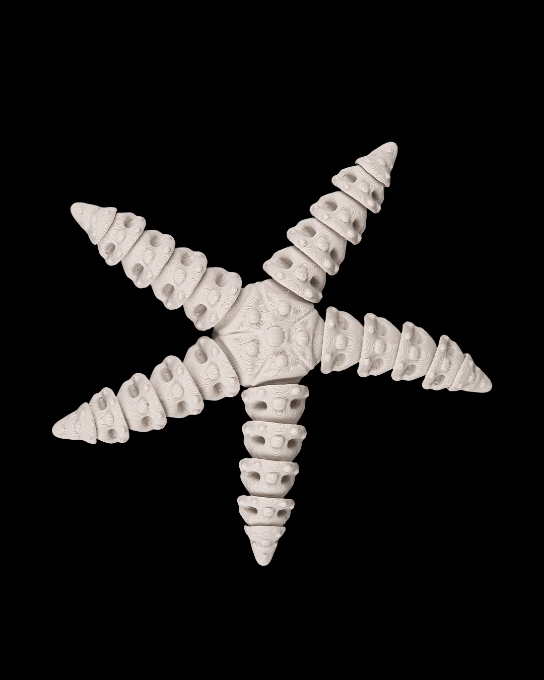 Skeleton starfish