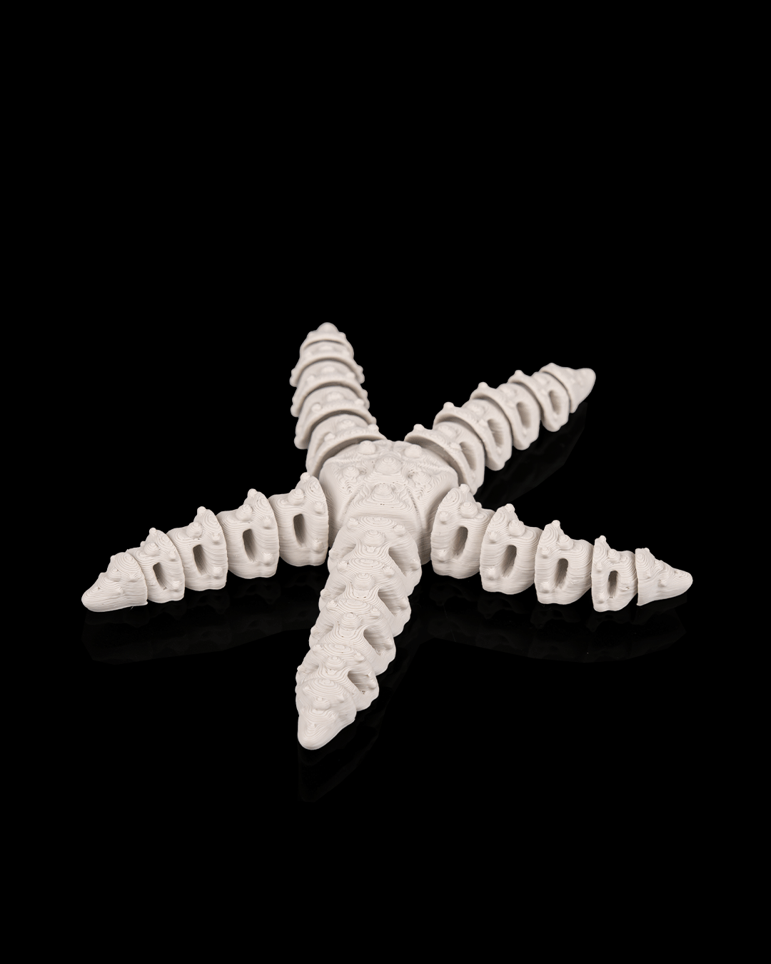 Skeleton starfish