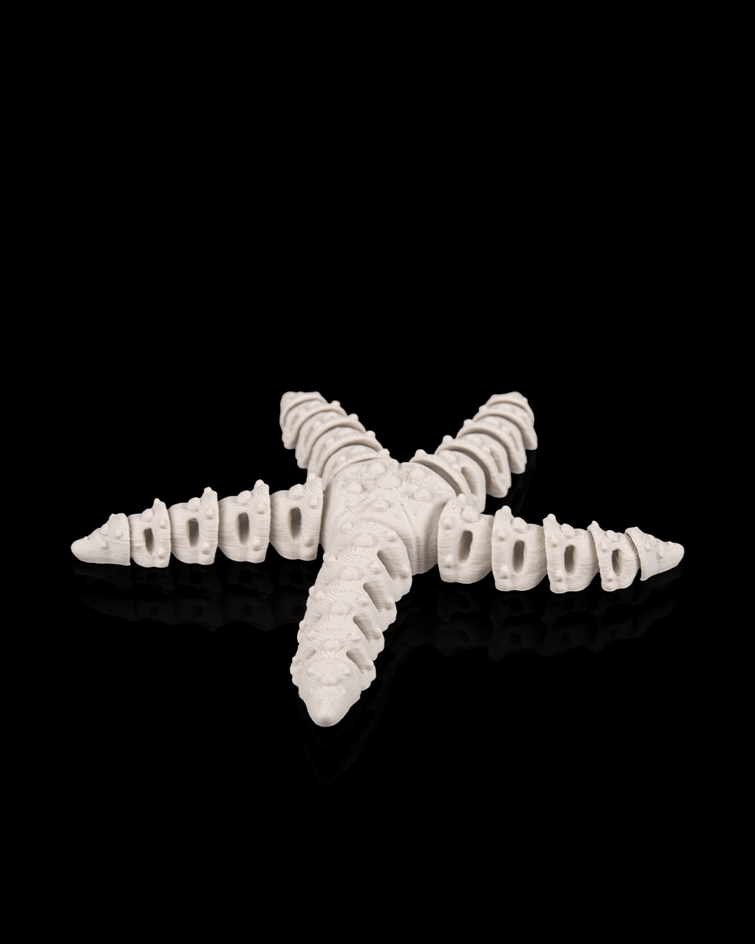 Skeleton starfish