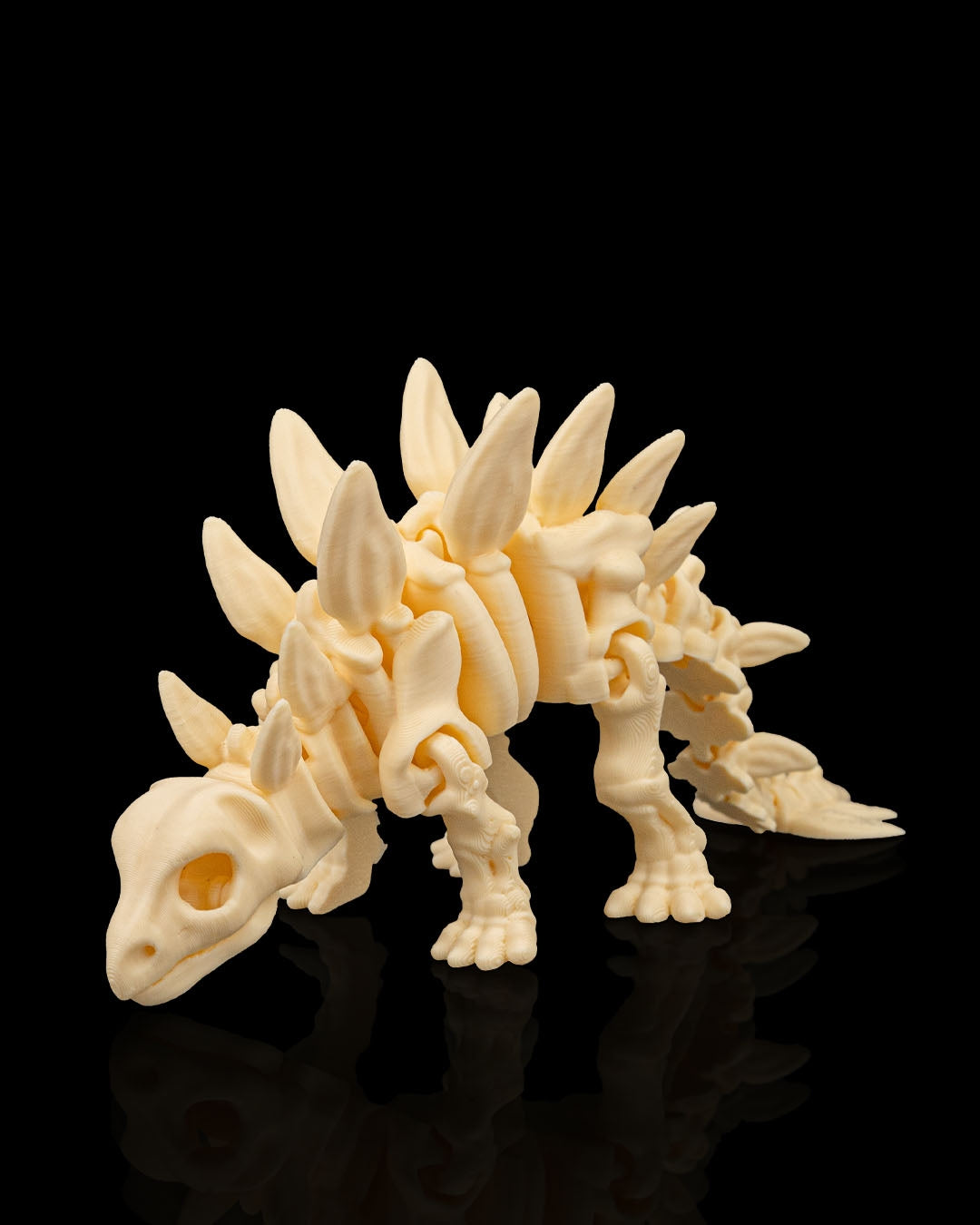 Stegosaurus skeleton