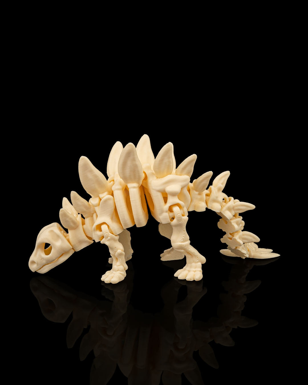 Stegosaurus skeleton