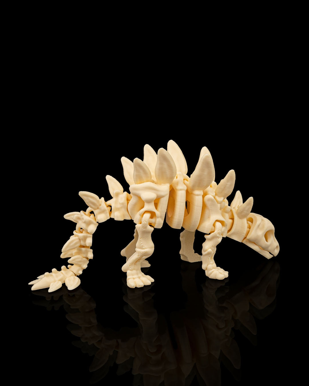 Stegosaurus skeleton