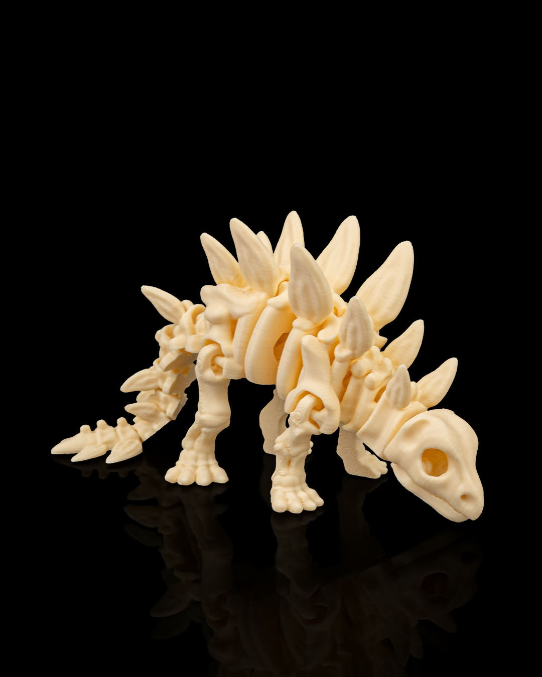 Stegosaurus skeletje