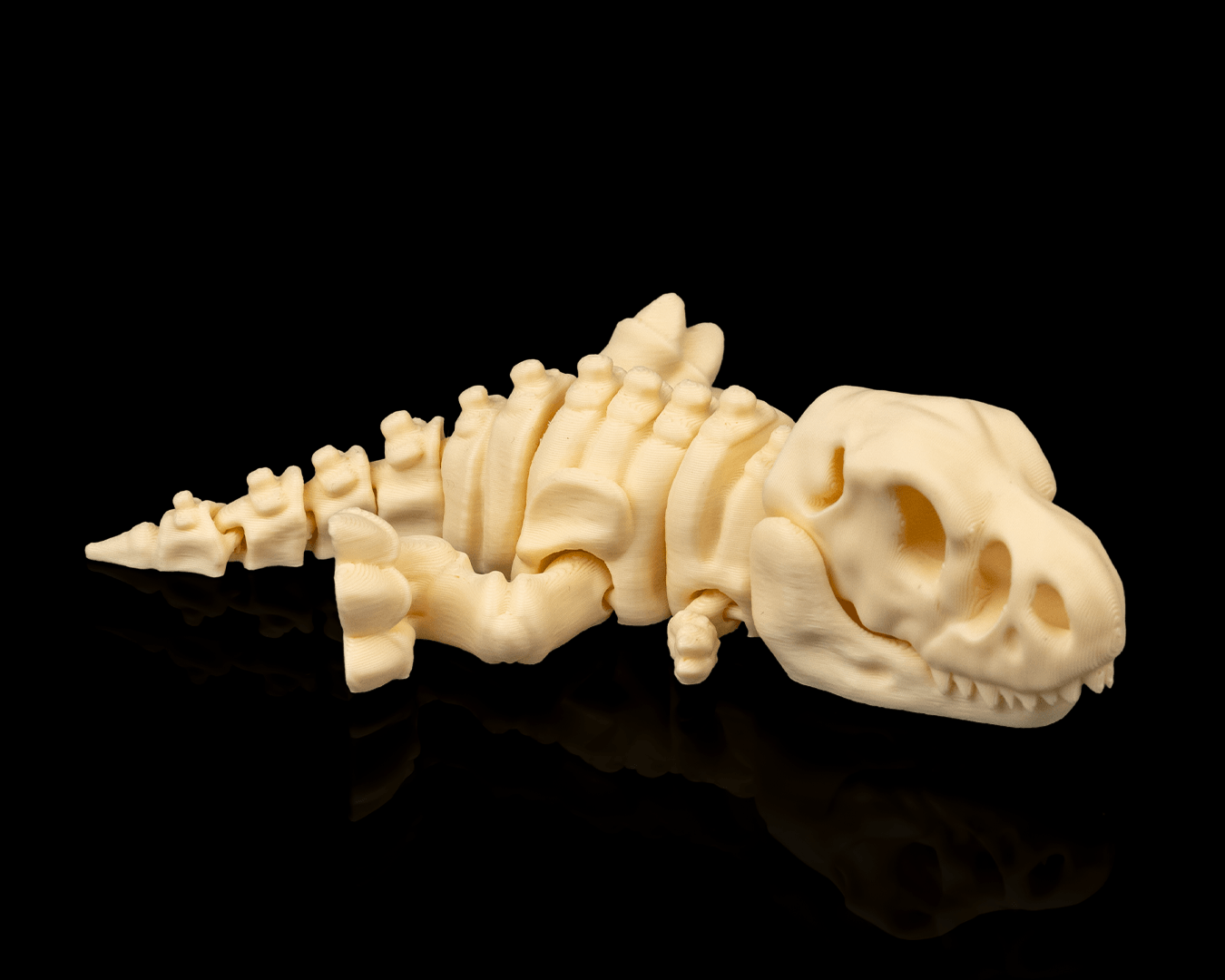 T-rex skeleton