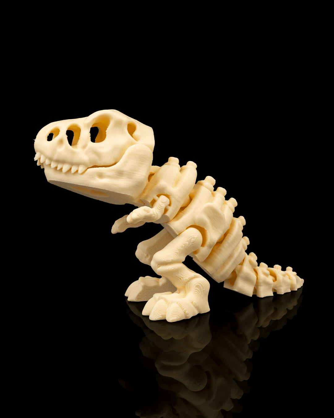 T-rex skeleton