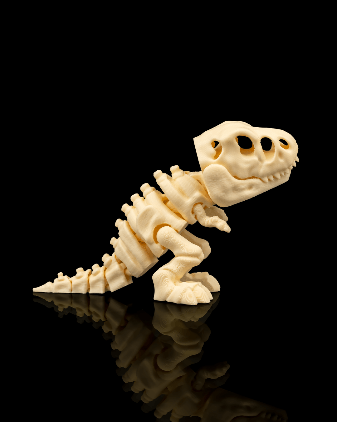 T-rex skeleton