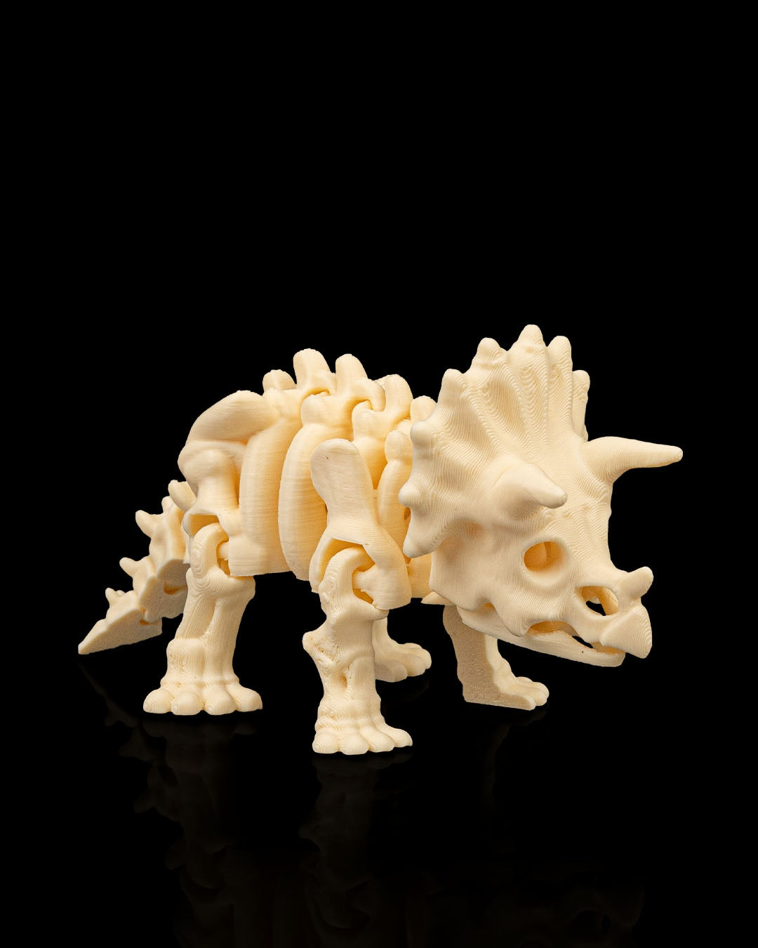 Triceratops skeleton