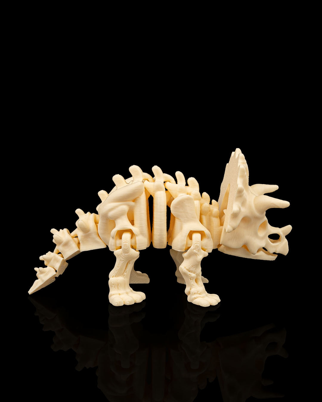 Triceratops skeleton