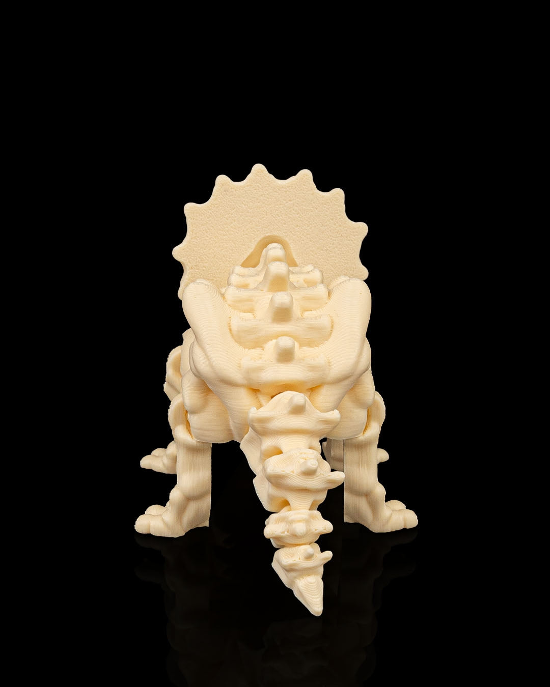 Triceratops skeleton