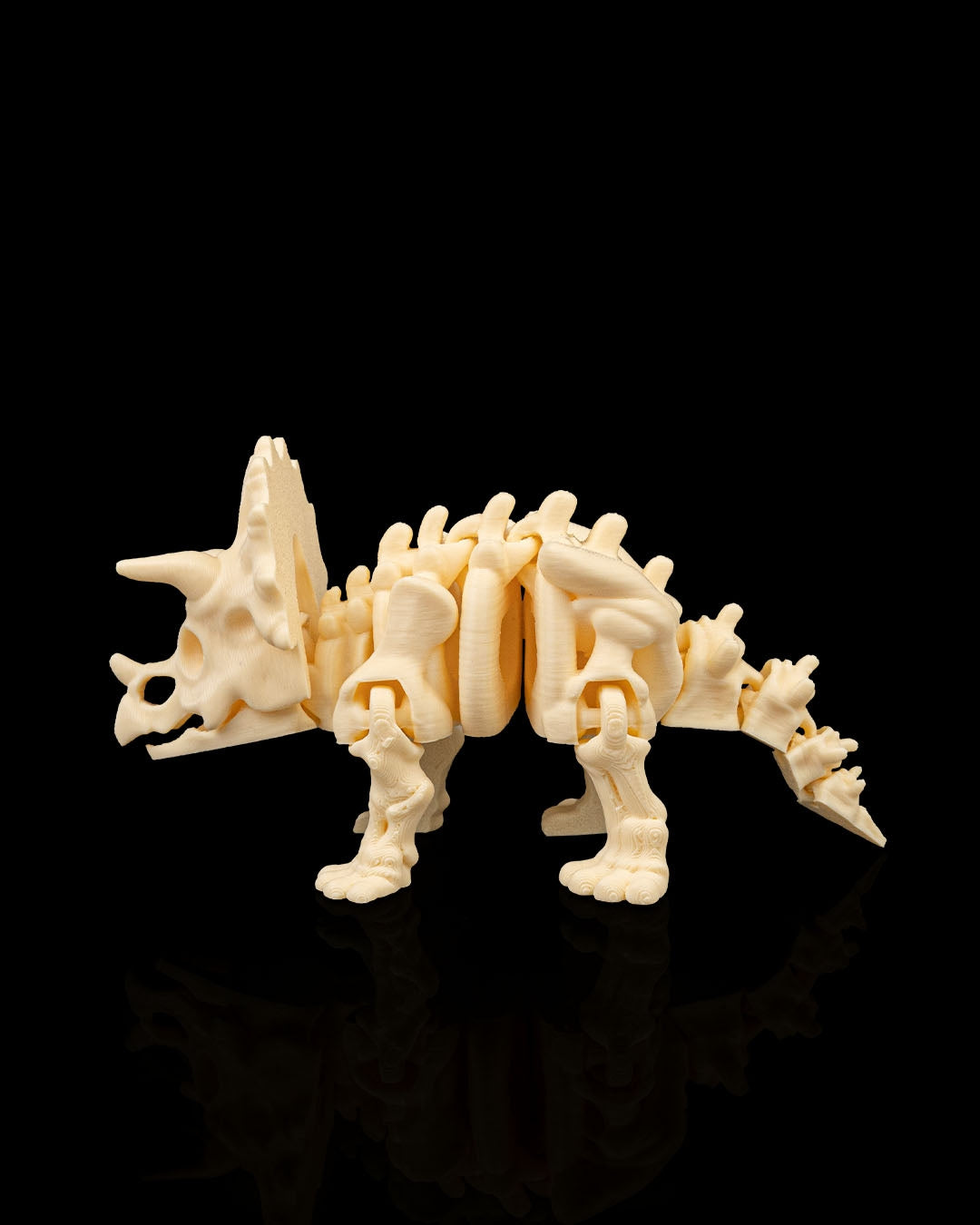 Triceratops skeleton