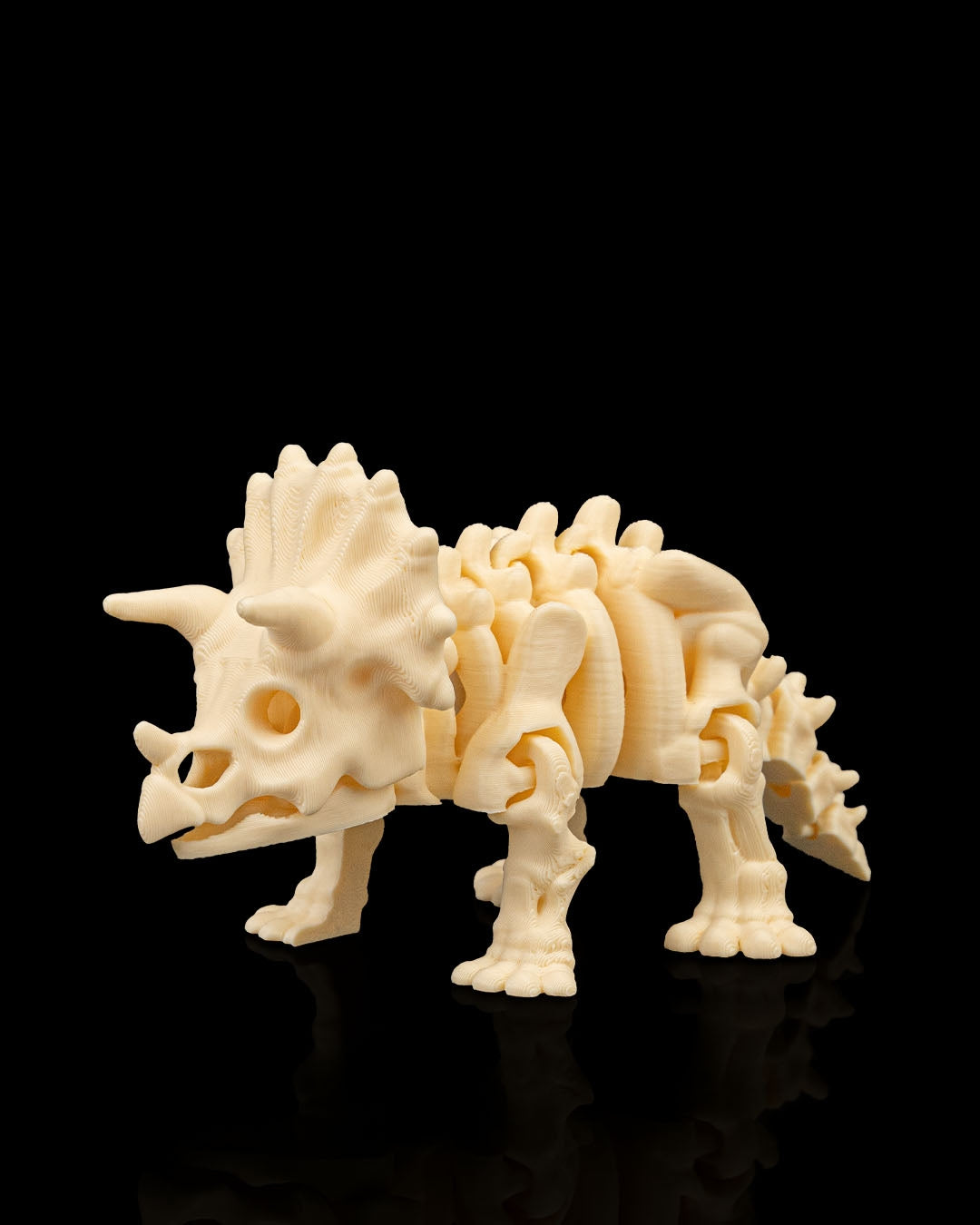 Triceratops skeleton