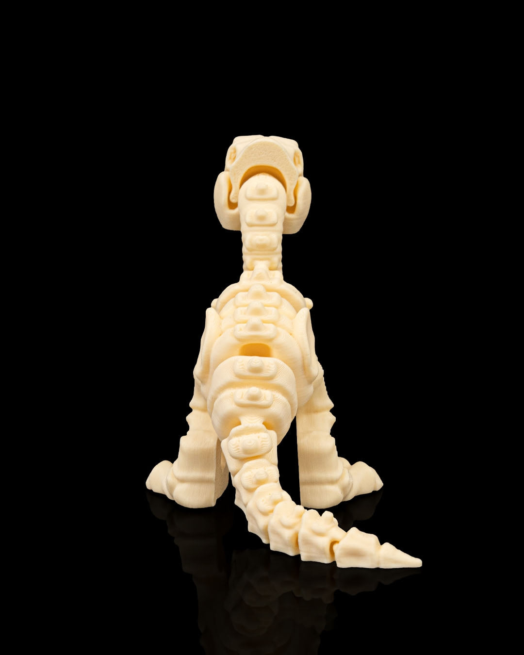 Velociraptor skeleton