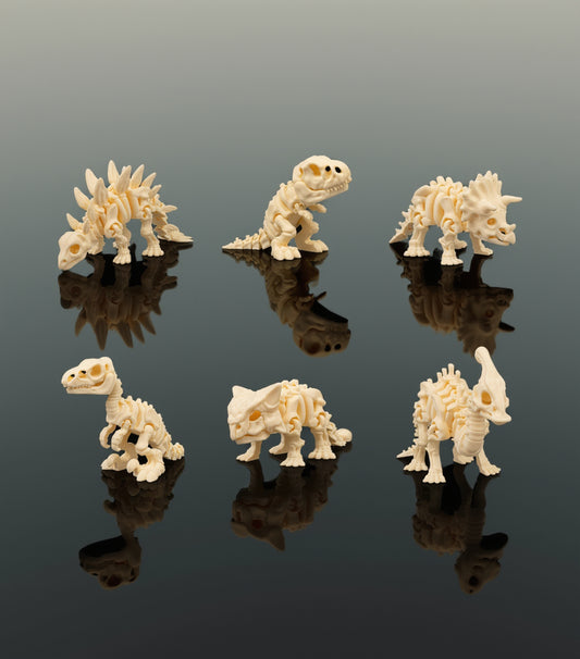 Dino skeleton bundle